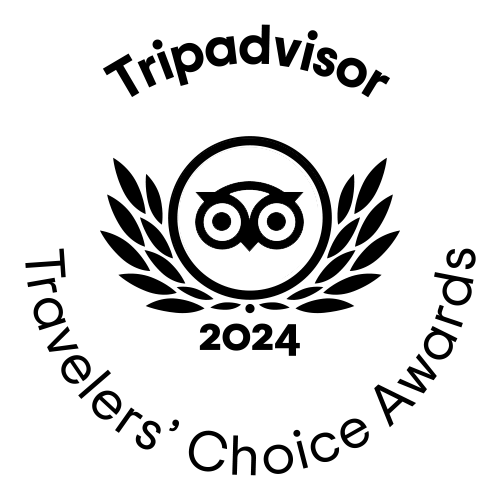 travelers choice award