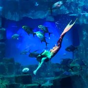 aquarium-paris-trocadero