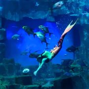 aquarium-paris-trocadero